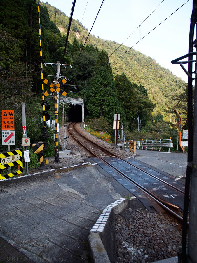d0100156_23565013.jpg
