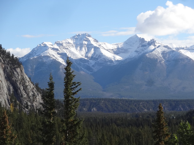 f0198556_1236290.jpg