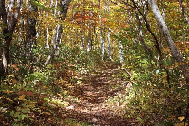 e0239458_12233294.jpg