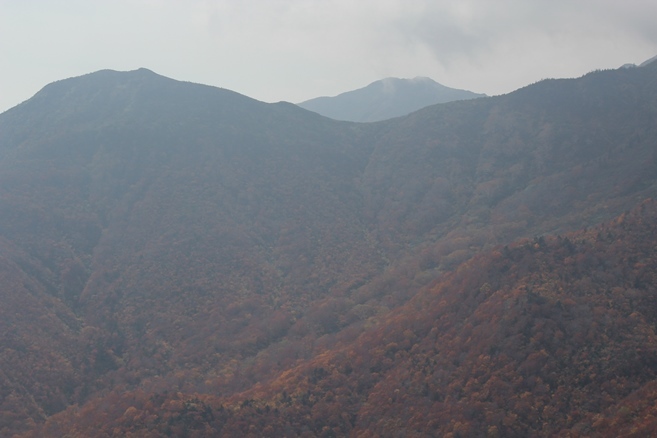 e0239458_12462997.jpg