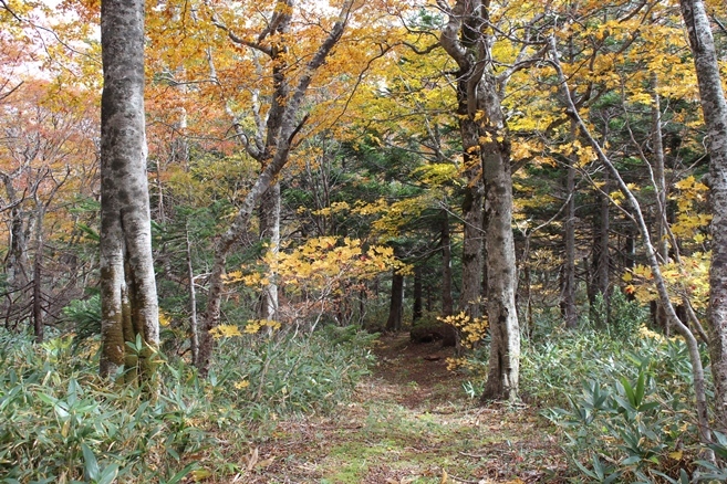 e0239458_12493968.jpg