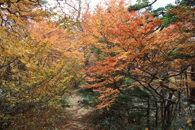 e0239458_12513180.jpg