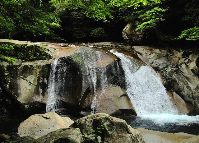 c0119160_1135297.jpg