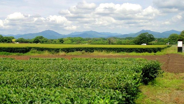 c0119160_16504530.jpg