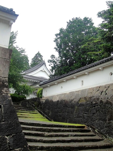 c0119160_168541.jpg
