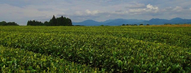 c0119160_1757545.jpg