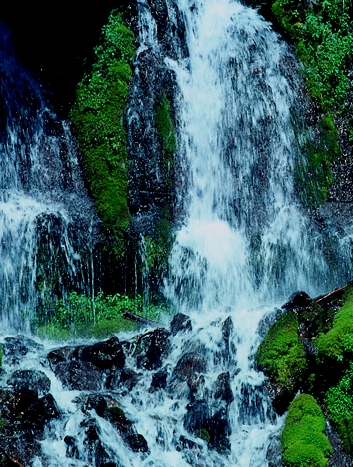 c0119160_18163348.jpg