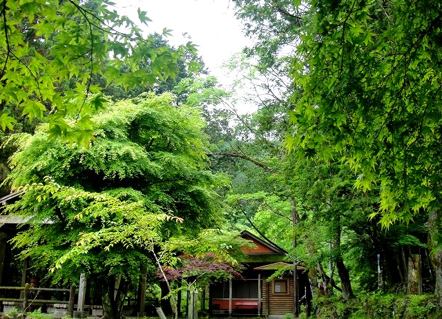 c0119160_7244061.jpg