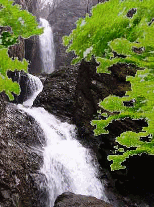 c0119160_8174569.gif