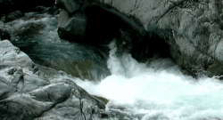 c0119160_89528.gif