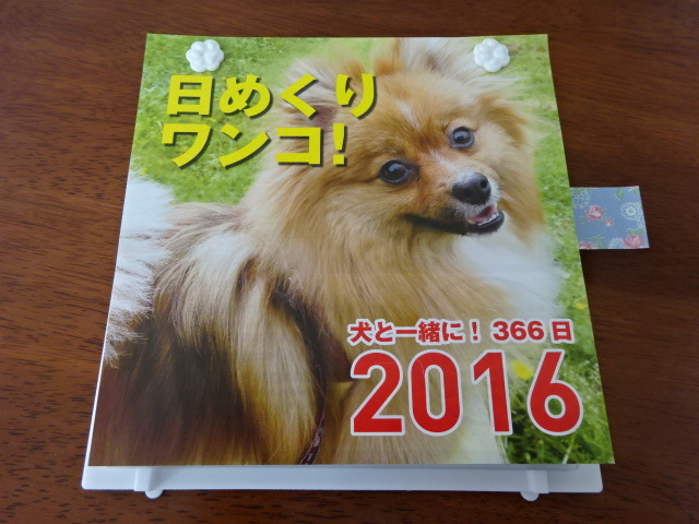 a0241761_14004711.jpg