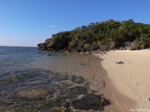 b0336361_20210463.jpg
