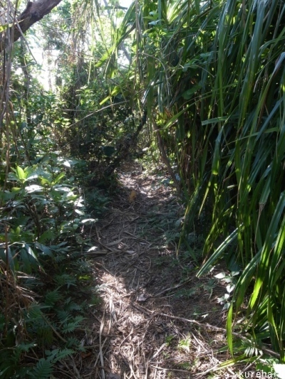 b0336361_21355244.jpg