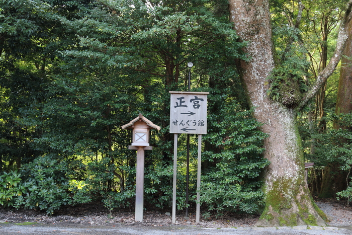 d0152261_15374391.jpg