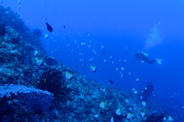 b0062363_16255875.jpg
