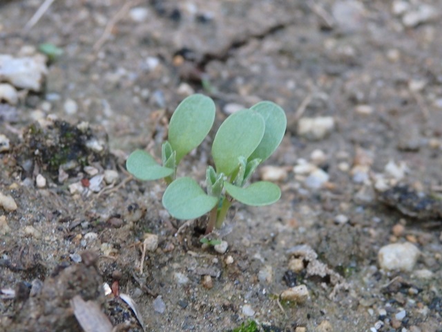 b0223766_20581660.jpg