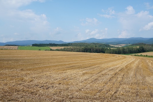 e0195766_23553713.jpg