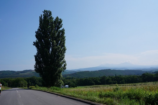 e0195766_23553718.jpg