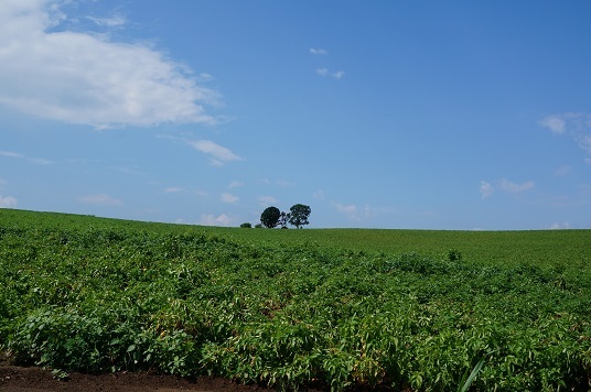 e0195766_23553749.jpg