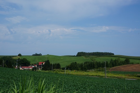 e0195766_23555697.jpg