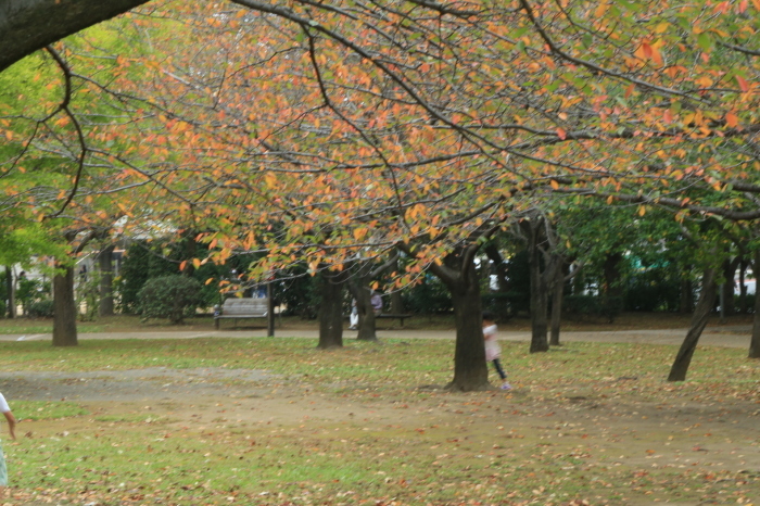 b0319369_12012307.jpg