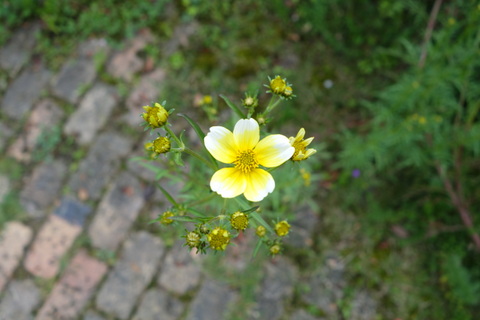 c0216472_21373036.jpg