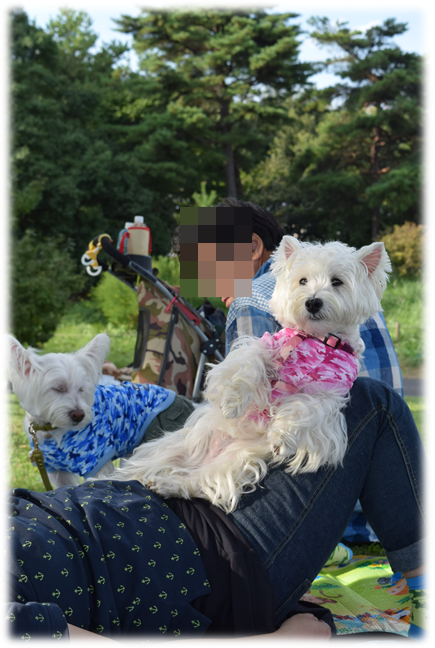 b0242873_00024097.png