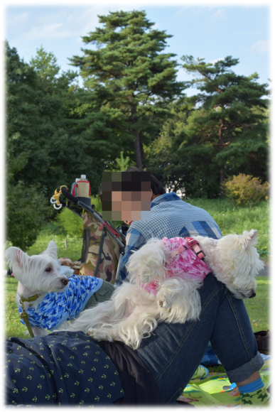 b0242873_00054666.png