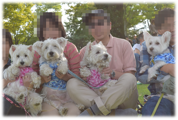 b0242873_09451892.png