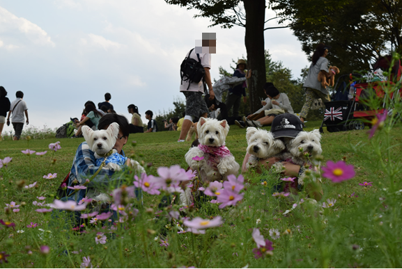 b0242873_09560794.png