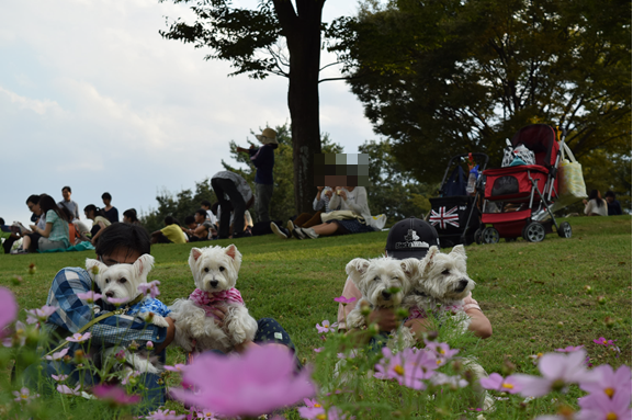 b0242873_09562340.png