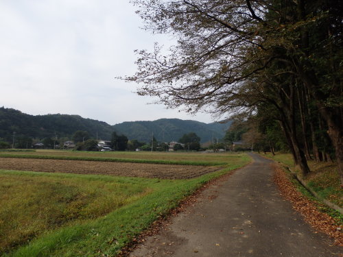 b0334084_12513021.jpg