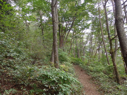 b0334084_12540579.jpg