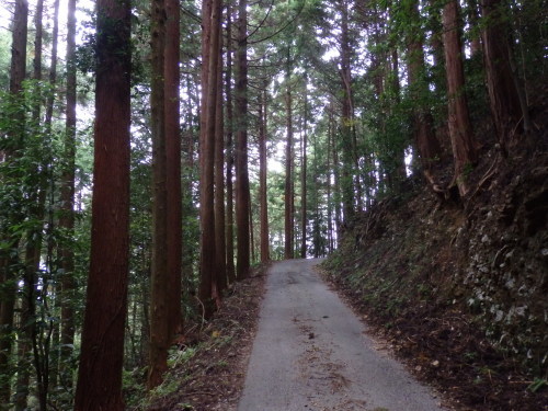 b0334084_12570772.jpg
