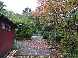 e0155085_20164380.jpg