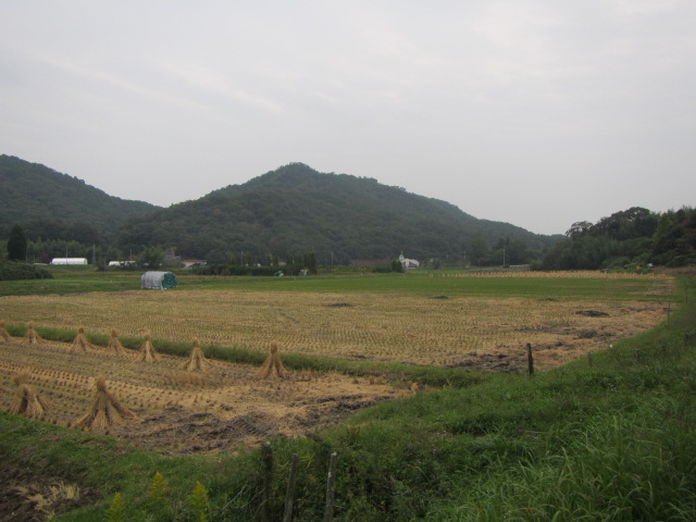 a0251786_20374757.jpg
