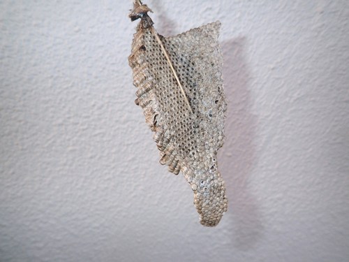 f0338188_1455211.jpg
