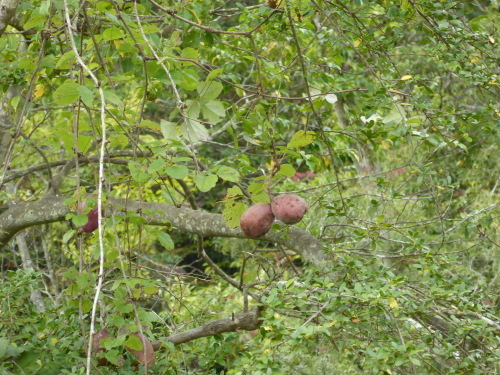 b0321595_10215173.jpg
