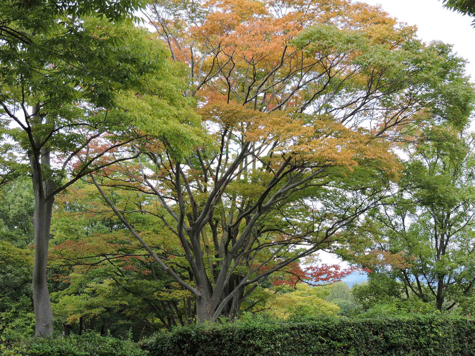 b0044296_0412039.jpg