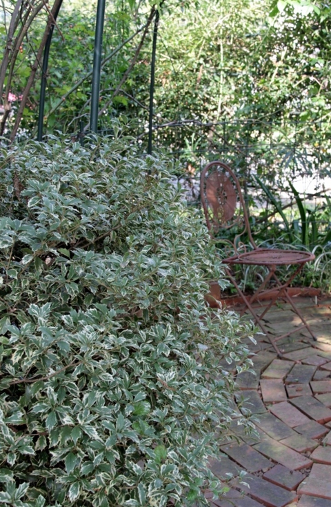 d0166303_22363157.jpg