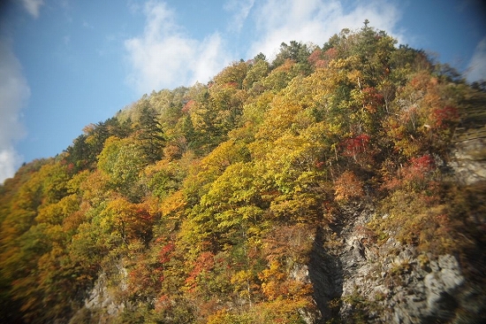 c0202705_11303718.jpg