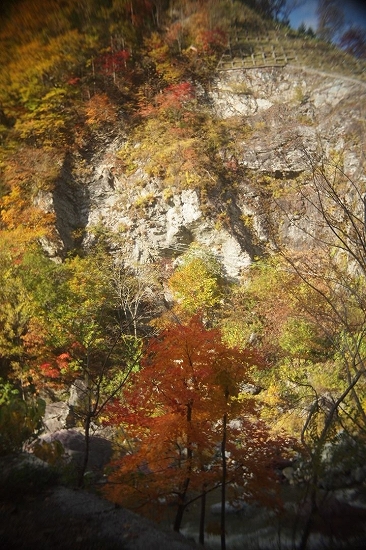 c0202705_1134516.jpg