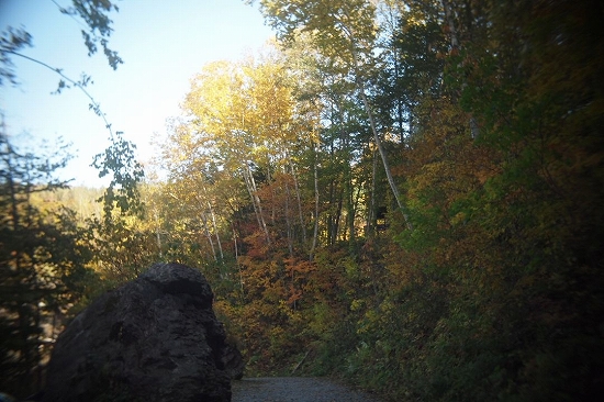 c0202705_11531024.jpg