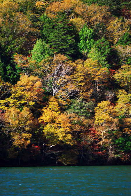 a0263109_20115387.jpg
