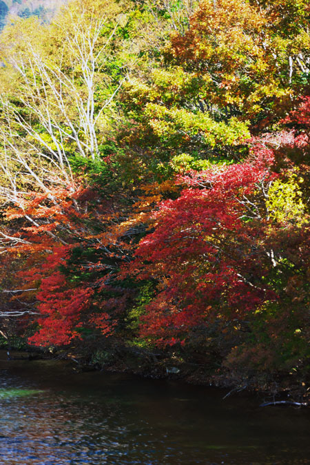 a0263109_20115625.jpg