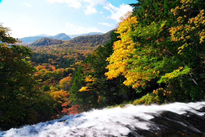 a0263109_2012497.jpg