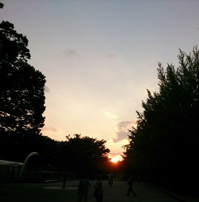 e0112619_15532679.jpg