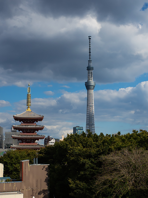 b0085526_1425186.jpg