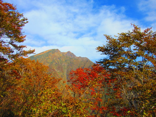 a0248728_1211026.jpg