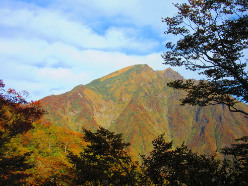 a0248728_1215488.jpg